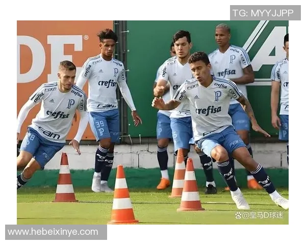 南美解放者杯精彩对决帕尔梅拉斯与弗拉门戈上演激烈巴西德比战